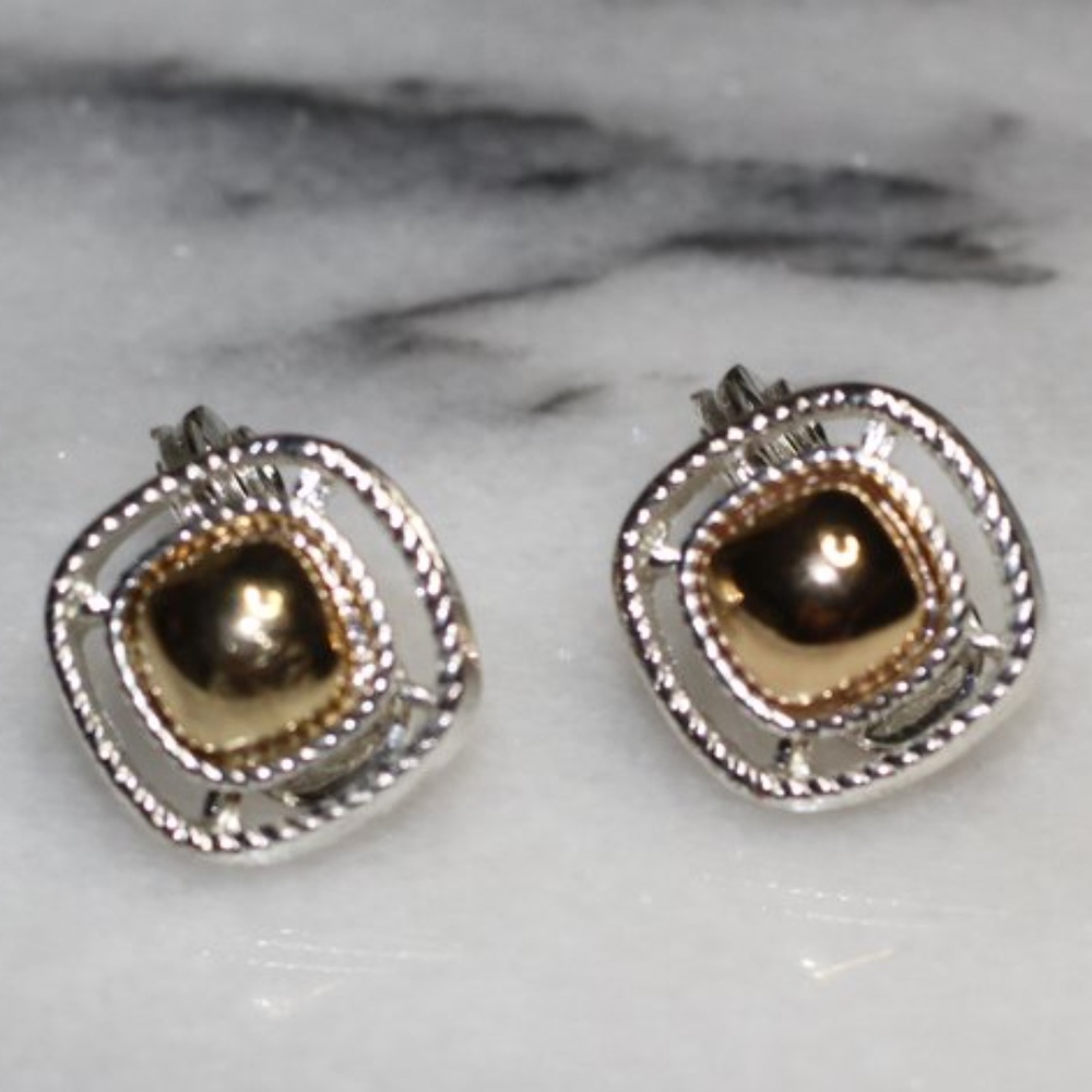 Hmn Silver & Gold Earrings